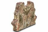 Tall, Petrified Wood Bookends with Fungal Rot - Arizona #307180-1